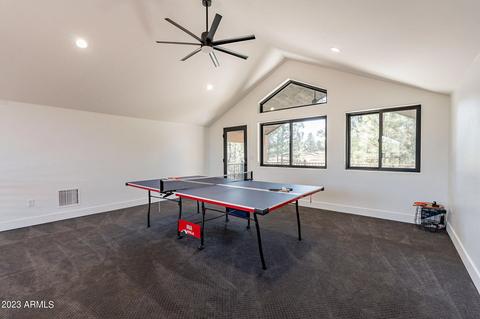 4341 Box Elder Ln, Show Low, AZ 85901 photo 32