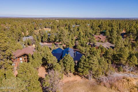4341 Box Elder Ln, Show Low, AZ 85901 photo 59