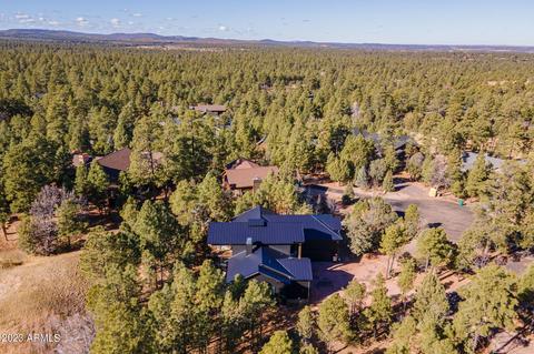 4341 Box Elder Ln, Show Low, AZ 85901 photo 57