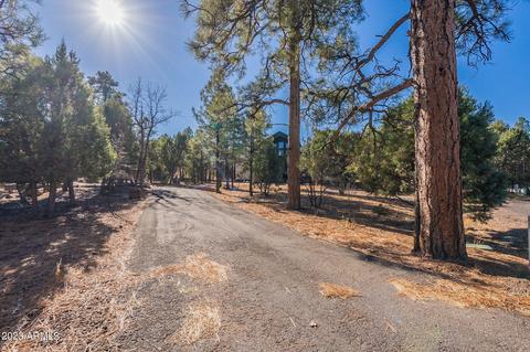 4341 Box Elder Ln, Show Low, AZ 85901 photo 69