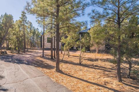 4341 Box Elder Ln, Show Low, AZ 85901 photo 70