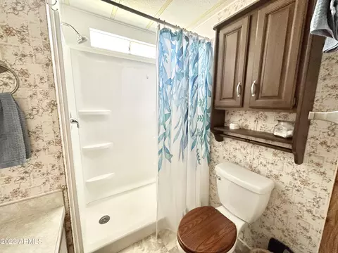 218 S Motherlode Dr, Apache Junction, AZ 85119 photo 46