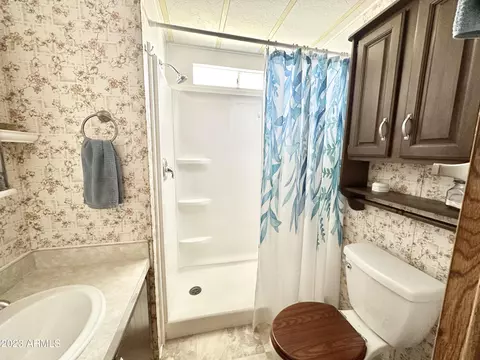 218 S Motherlode Dr, Apache Junction, AZ 85119 photo 45