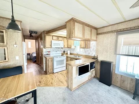 218 S Motherlode Dr, Apache Junction, AZ 85119 photo 31