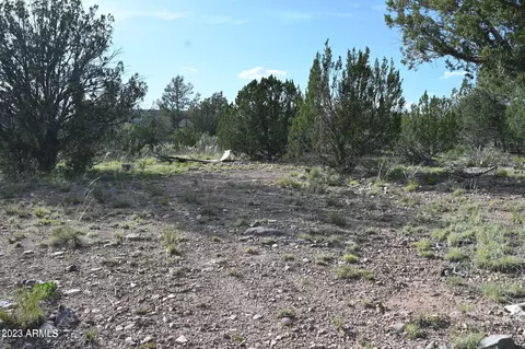 52084 N Calle Ciervo -- #2064, Seligman, AZ 86337