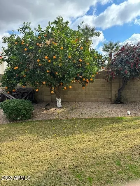 4739 E Redfield Rd, Phoenix, AZ 85032 photo 21