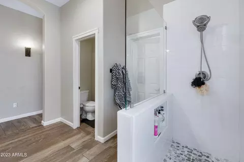 10108 E Lomita Ave, Mesa, AZ 85209 photo 32