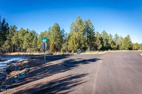 2833 Thunderbolt Cir #207, Overgaard, AZ 85933 photo 2