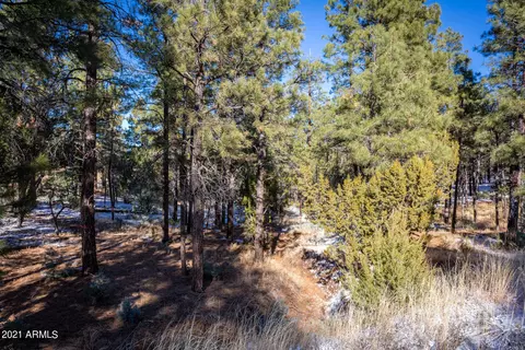 2833 Thunderbolt Cir #207, Overgaard, AZ 85933 photo 9
