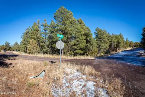 2833 Thunderbolt Cir #207, Overgaard, AZ 85933 photo 22