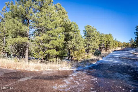 2833 Thunderbolt Cir #207, Overgaard, AZ 85933 photo 23