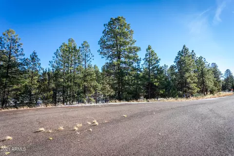 2833 Thunderbolt Cir #207, Overgaard, AZ 85933 photo 10