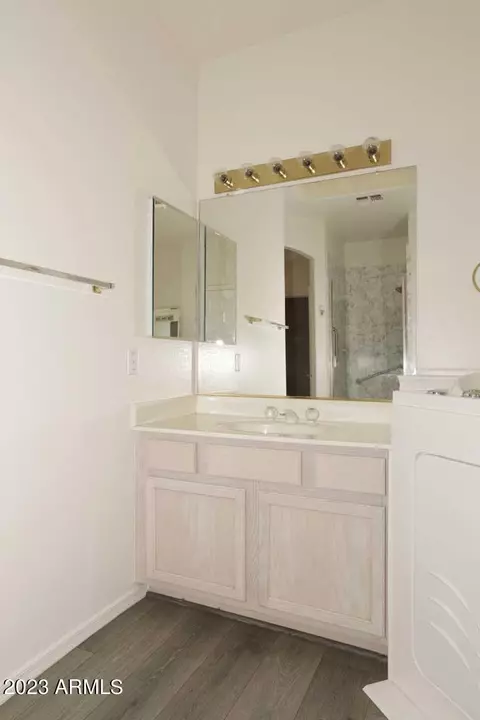 Bath - 1738 E Marquette Dr, Gilbert, AZ 85234 photo 3 of 5