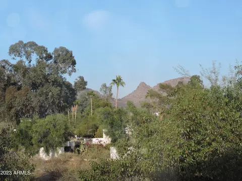810 E Joan D Arc Ave, Phoenix, AZ 85022 photo 14