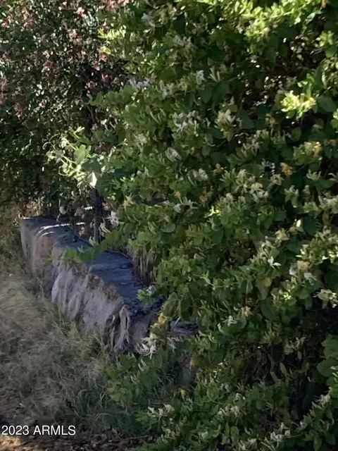 840 Sims Rd, Bisbee, AZ 85603 photo 58