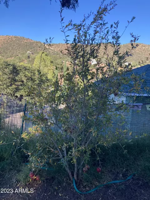 840 Sims Rd, Bisbee, AZ 85603 photo 42