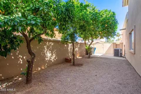1317 E Treasure Cove Dr, Gilbert, AZ 85234 photo 47