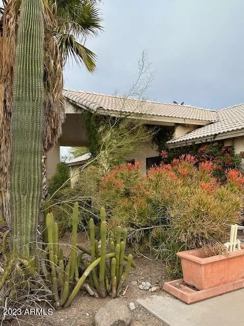 1209 S Idaho Rd, Apache Junction, AZ 85119 photo 3