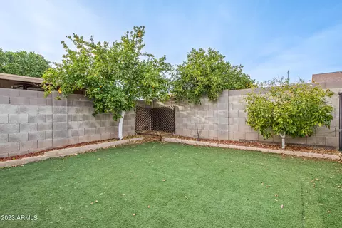 4866 E Princess Dr, Mesa, AZ 85205 photo 44