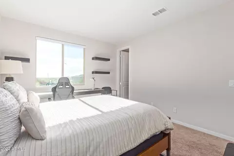 3151 E Tina Dr, Phoenix, AZ 85050 photo 40