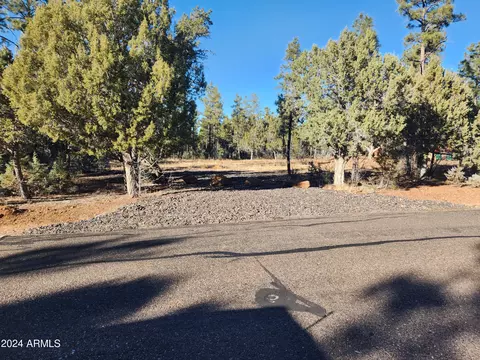1800 S Monkshood Rd #405, Show Low, AZ 85901