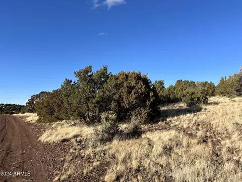 144 N 3109 -- #-, Vernon, AZ 85940