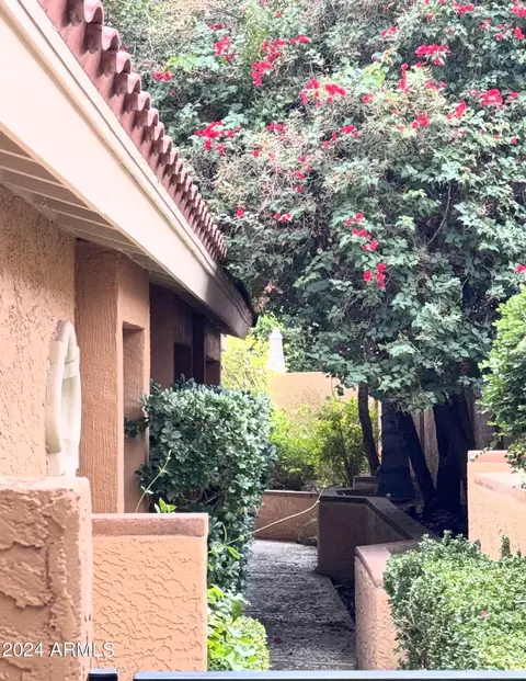 1007 E Desert Cove Ave, Phoenix, AZ 85020 photo 27