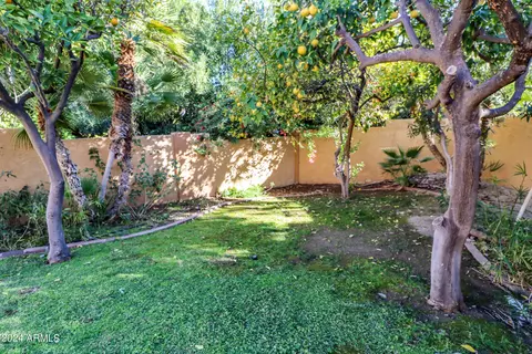 1007 E Desert Cove Ave, Phoenix, AZ 85020 photo 54