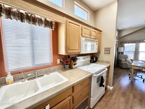 453 S Jaspar Dr, Apache Junction, AZ 85119 photo 43