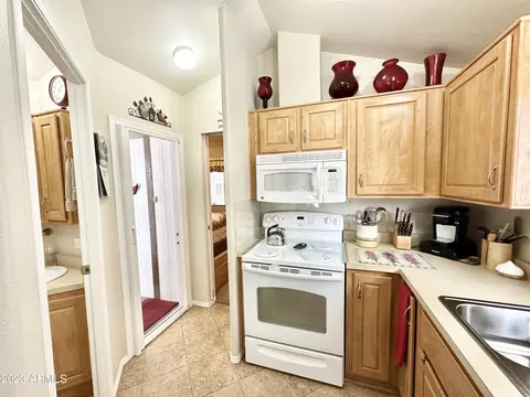 192 S Mineshaft Dr, Apache Junction, AZ 85119 photo 21