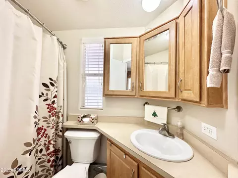 192 S Mineshaft Dr, Apache Junction, AZ 85119 photo 28