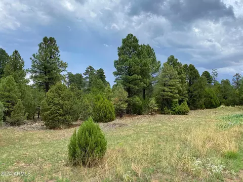 2026 State Route 277 -- #C, Overgaard, AZ 85933