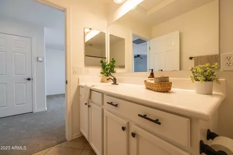 Bath - 11017 E Shepperd Ave, Mesa, AZ 85212 photo 9 of 10