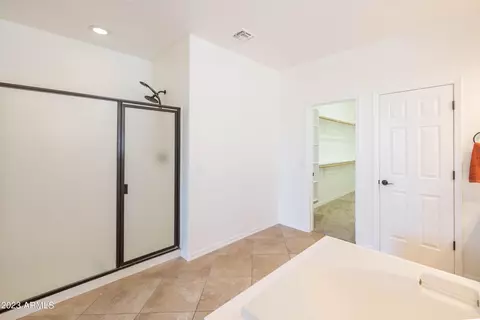 Bath - 11017 E Shepperd Ave, Mesa, AZ 85212 photo 4 of 10