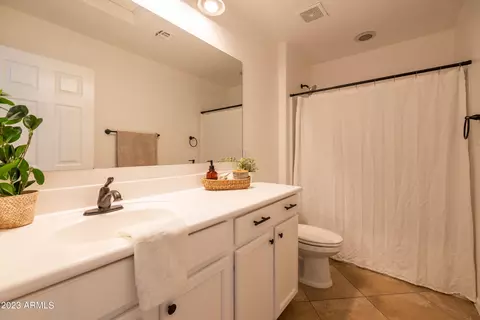 Bath - 11017 E Shepperd Ave, Mesa, AZ 85212 photo 8 of 10
