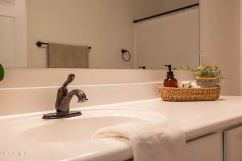 Bath - 11017 E Shepperd Ave, Mesa, AZ 85212 photo 10 of 10