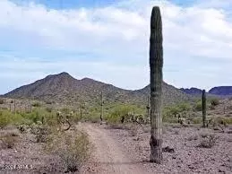 0 W Adobe Dam Rd #4A, Queen Creek, AZ 85144