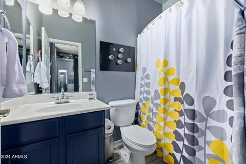 Bath - 6026 S Mack Ave, Gilbert, AZ 85298 photo 4 of 5