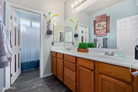 Bath - 6026 S Mack Ave, Gilbert, AZ 85298 photo 5 of 5