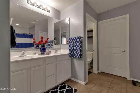 3011 E Megan St, Gilbert, AZ 85295 photo 13