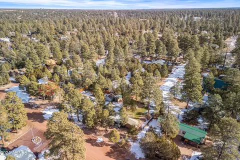 2931 Breezy Pine Dr, Overgaard, AZ 85933 photo 33