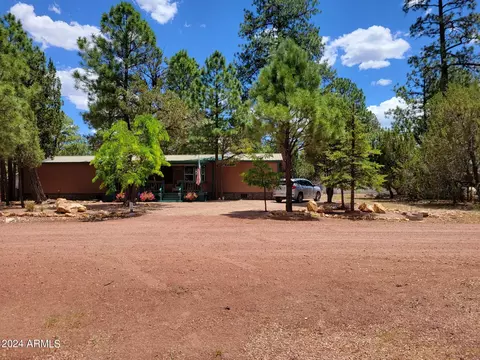 2931 Breezy Pine Dr, Overgaard, AZ 85933 photo 38