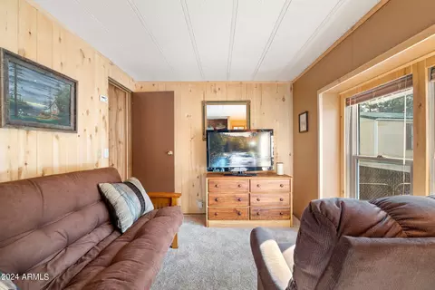 2931 Breezy Pine Dr, Overgaard, AZ 85933 photo 20