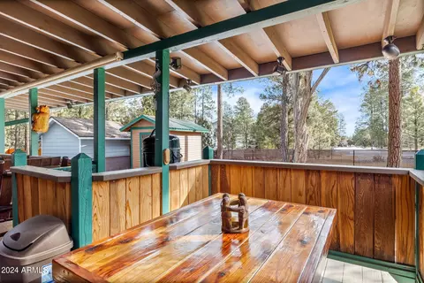 2931 Breezy Pine Dr, Overgaard, AZ 85933 photo 25