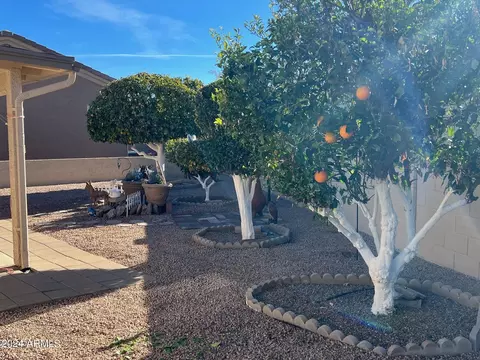 5755 E Leonora St, Mesa, AZ 85215 photo 7