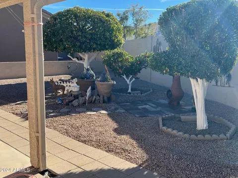 5755 E Leonora St, Mesa, AZ 85215 photo 6
