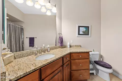 1737 S 141st Pl, Gilbert, AZ 85295 photo 52