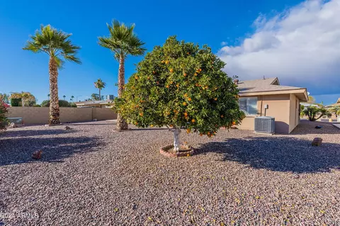 5023 E Flower Ave, Mesa, AZ 85206 photo 32