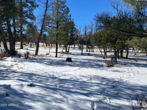 3974 Durango Dr #237, Happy Jack, AZ 86024