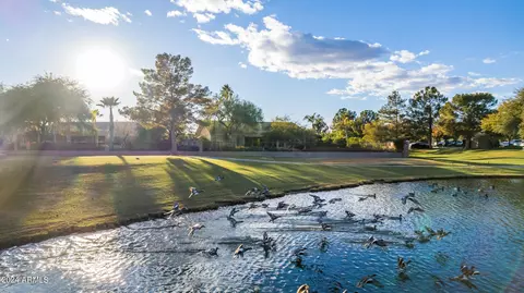 9950 E Kiowa Ave, Mesa, AZ 85209 photo 43
